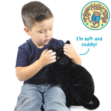 Load image into Gallery viewer, Boone The Black Cat | 13 Inch Stuffed Animal Plush | By TigerHart Toys