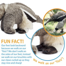 Load image into Gallery viewer, Arsenio The Anteater | 18 Inch Stuffed Animal Plush | By TigerHart Toys