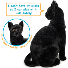 Load image into Gallery viewer, Boone The Black Cat | 13 Inch Stuffed Animal Plush | By TigerHart Toys
