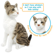 Load image into Gallery viewer, Amy The American Shorthair Cat | 14 Inch Stuffed Animal Plush | By TigerHart Toys