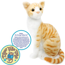 Load image into Gallery viewer, Tobias The Orange Tabby Cat | 13 Inch Stuffed Animal Plush | By TigerHart Toys
