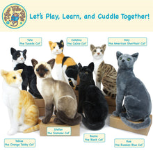 Load image into Gallery viewer, Rae The Russian Blue Cat | 13 Inch Stuffed Animal Plush | By TigerHart Toys