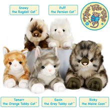 Load image into Gallery viewer, Snowy The Ragdoll Cat | 12 Inch Stuffed Animal Plush | By TigerHart Toys