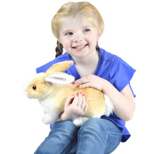 Load image into Gallery viewer, Ridley The Rabbit | 11 Inch Stuffed Animal Plush | By TigerHart Toys
