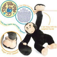 Load image into Gallery viewer, Chance The Chimpanzee | 15 Inch Stuffed Animal Plush | By TigerHart Toys