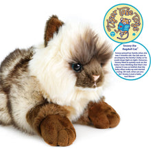 Load image into Gallery viewer, Snowy The Ragdoll Cat | 12 Inch Stuffed Animal Plush | By TigerHart Toys
