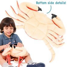 Load image into Gallery viewer, Cora The Crab - 19 Inch Stuffed Animal Plush - by TigerHart Toys
