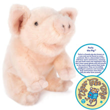 Load image into Gallery viewer, Perla The Pig | 11 Inch Stuffed Animal Plush | By TigerHart Toys
