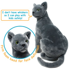 Load image into Gallery viewer, Rae The Russian Blue Cat | 13 Inch Stuffed Animal Plush | By TigerHart Toys
