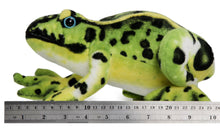 Load image into Gallery viewer, Frisco The Frog | 10 Inch Stuffed Animal Plush | By TigerHart Toys
