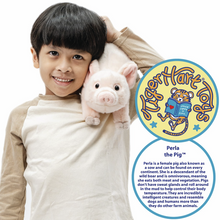 Load image into Gallery viewer, TigerHart Perla The Pig - 10 Inch Stuffed Animal Plush
