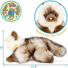 Load image into Gallery viewer, Snowy The Ragdoll Cat | 12 Inch Stuffed Animal Plush | By TigerHart Toys
