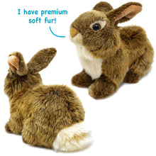 Load image into Gallery viewer, Brigid The Brown Rabbit | 10 Inch Stuffed Animal Plush | By TigerHart Toys
