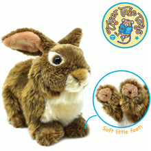 Load image into Gallery viewer, Brigid The Brown Rabbit | 10 Inch Stuffed Animal Plush | By TigerHart Toys

