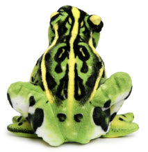 Load image into Gallery viewer, Frisco The Frog | 10 Inch Stuffed Animal Plush | By TigerHart Toys
