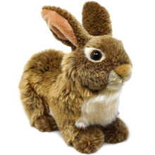Load image into Gallery viewer, Brigid The Brown Rabbit | 10 Inch Stuffed Animal Plush | By TigerHart Toys
