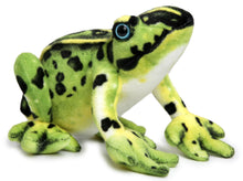 Load image into Gallery viewer, Frisco The Frog | 10 Inch Stuffed Animal Plush | By TigerHart Toys
