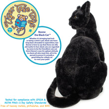 Load image into Gallery viewer, Boone The Black Cat | 13 Inch Stuffed Animal Plush | By TigerHart Toys
