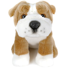 Load image into Gallery viewer, Egan The English Bulldog | 9 Inch Stuffed Animal Plush | By TigerHart Toys
