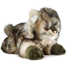 Load image into Gallery viewer, Ricky The Maine Coon | 16 Inch Stuffed Animal Plush | By TigerHart Toys
