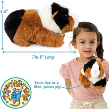 Load image into Gallery viewer, Gianni The Guinea Pig - 9 Inch Stuffed Animal Plush - by TigerHart Toys
