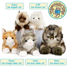 Load image into Gallery viewer, Puff The Persian Cat | 13 Inch Stuffed Animal Plush | By TigerHart Toys
