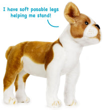 Load image into Gallery viewer, Bobby The Boston Terrier Boxer | 15 Inch Stuffed Animal Plush | By TigerHart Toys
