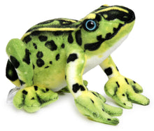 Load image into Gallery viewer, Frisco The Frog | 10 Inch Stuffed Animal Plush | By TigerHart Toys
