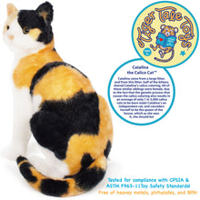 Load image into Gallery viewer, Catalina The Calico Cat | 14 Inch Stuffed Animal Plush | By TigerHart Toys
