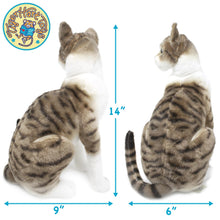 Load image into Gallery viewer, Amy The American Shorthair Cat | 14 Inch Stuffed Animal Plush | By TigerHart Toys
