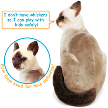 Load image into Gallery viewer, Stefan The Siamese Cat | 13 Inch Stuffed Animal Plush | By TigerHart Toys
