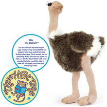 Load image into Gallery viewer, Ola The Ostrich | 12 Inch Stuffed Animal Plush | By TigerHart Toys
