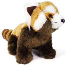 Load image into Gallery viewer, Raja The Red Panda | 13 Inch Stuffed Animal Plush | By TigerHart Toys

