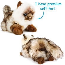 Load image into Gallery viewer, Snowy The Ragdoll Cat | 12 Inch Stuffed Animal Plush | By TigerHart Toys
