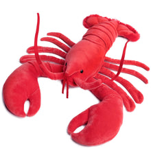 Load image into Gallery viewer, Lenora The Lobster | 13 Inch Stuffed Animal Plush | By Tiger Tale Toys
