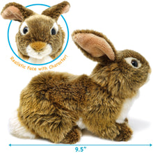 Load image into Gallery viewer, Brigid The Brown Rabbit | 10 Inch Stuffed Animal Plush

