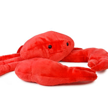 Load image into Gallery viewer, Cora The Crab | 18 Inch Stuffed Animal Plush
