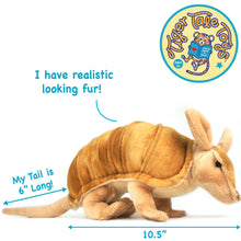 Load image into Gallery viewer, Mike The Armadillo | 11 Inch Stuffed Animal Plush
