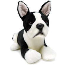 Load image into Gallery viewer, Baxter The Boston Terrier | 13 Inch Stuffed Animal Plush
