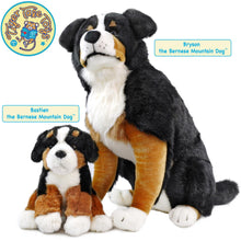 Load image into Gallery viewer, Bryson the Bernese Mountain Dog | 23 Inch Stuffed Animal Plush
