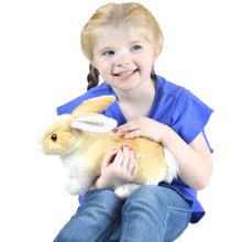 Load image into Gallery viewer, Ridley The Rabbit | 11 Inch Stuffed Animal Plush
