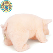 Load image into Gallery viewer, Perla The Pig | 11 Inch Stuffed Animal Plush
