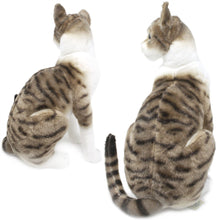 Load image into Gallery viewer, Amy The American Shorthair Cat | 14 Inch Stuffed Animal Plush
