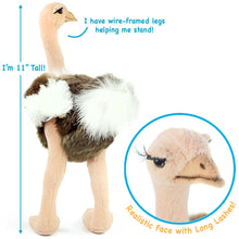 Load image into Gallery viewer, Ola The Ostrich | 12 Inch Stuffed Animal Plush
