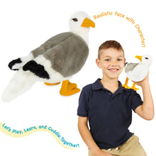 Load image into Gallery viewer, Seamus The Seagull | 12 Inch Stuffed Animal Plush
