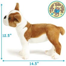 Load image into Gallery viewer, Bobby The Boston Terrier Boxer | 15 Inch Stuffed Animal Plush

