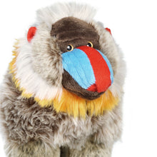 Load image into Gallery viewer, Mambo The Mandrill | 11 Inch Stuffed Animal Plush
