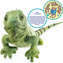 Load image into Gallery viewer, Igor The Iguana | 27 Inch Stuffed Animal Plush
