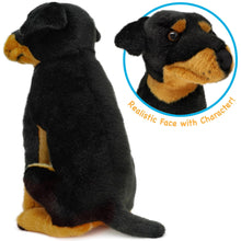 Load image into Gallery viewer, Ronin the Rottweiler | 14 Inch Stuffed Animal Plush
