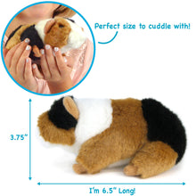 Load image into Gallery viewer, Gigi The Guinea Pig | 7 Inch Stuffed Animal Plush
